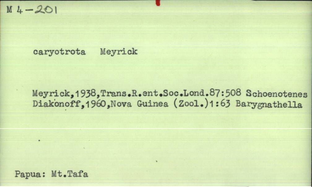 front of card